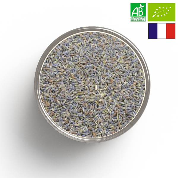 LAVENDEL Blume BIO - Herkunft FRANKREICH