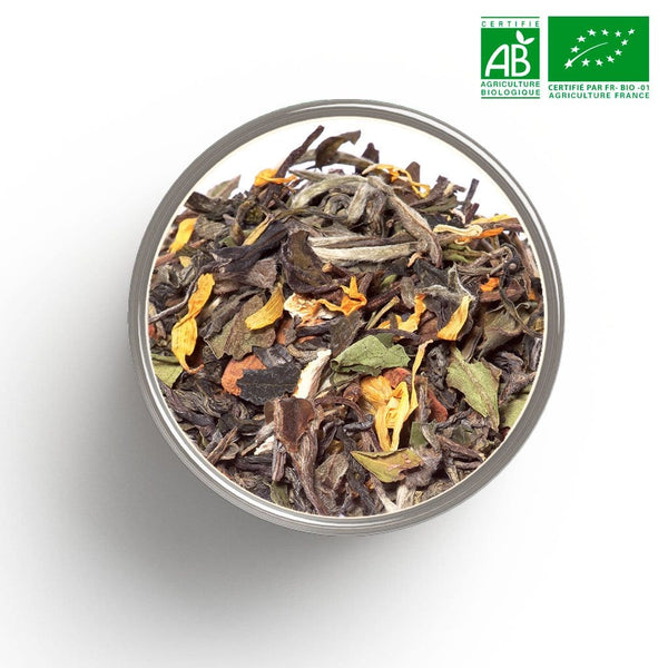 Grüner Tee Mix tea (Zimt, Mandarine) BIO in loser Schüttung