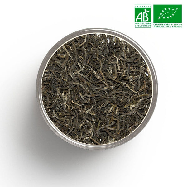 Grüner Tee Yunnan BIO lose