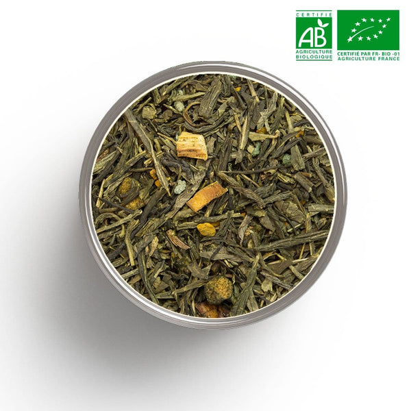Grüner Tee Inselschatz (Mango, Passionsfrucht) BIO in loser Schüttung