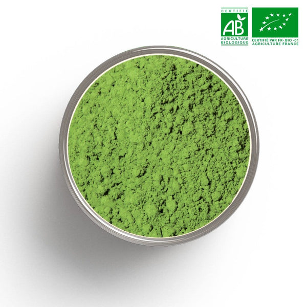 Grüner Tee China Matcha Tee zum Kochen BIO in loser Schüttung Beutel 30g